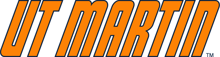 Tennessee-Martin Skyhawks 2007-Pres Wordmark Logo diy DTF decal sticker